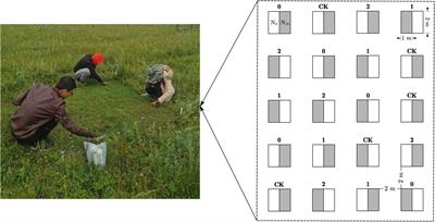 N-Induced Species Loss Dampened by Clipping Mainly Through Suppressing Dominant Species in an Alpine Meadow